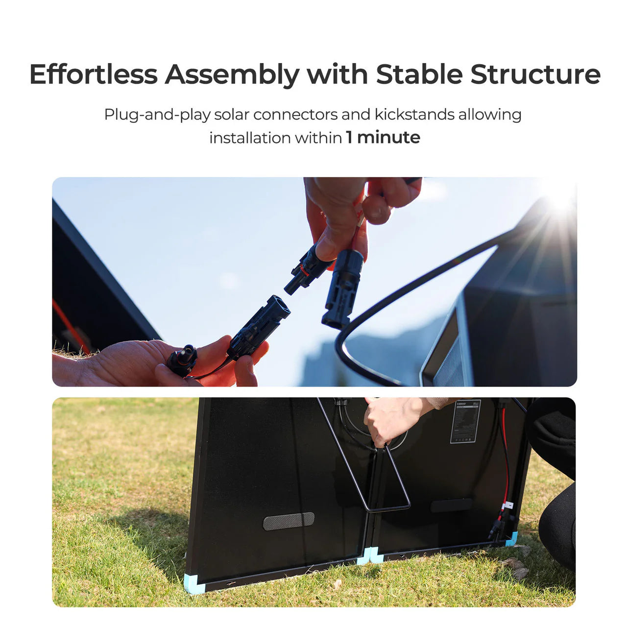 Renogy 100W N-Type Compact Suitcase